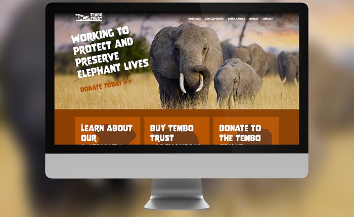 Website designers