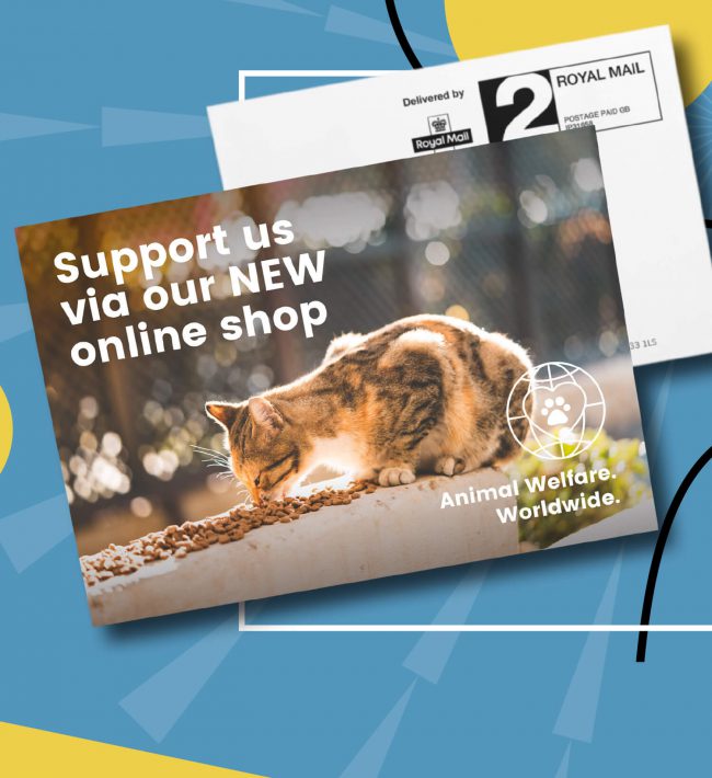 Increase your sales with the power of print
