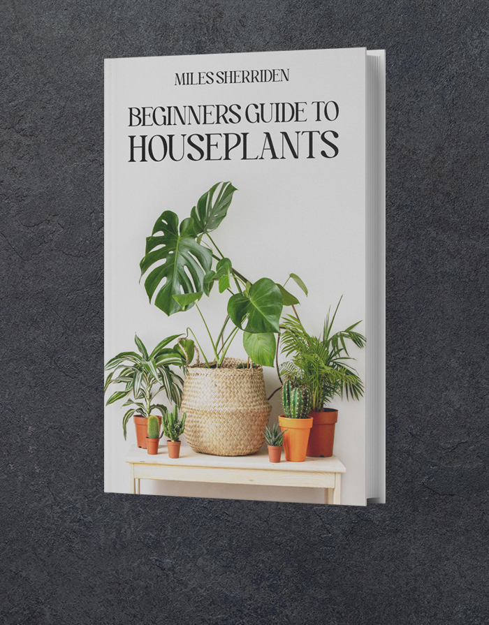  Hardback book printing