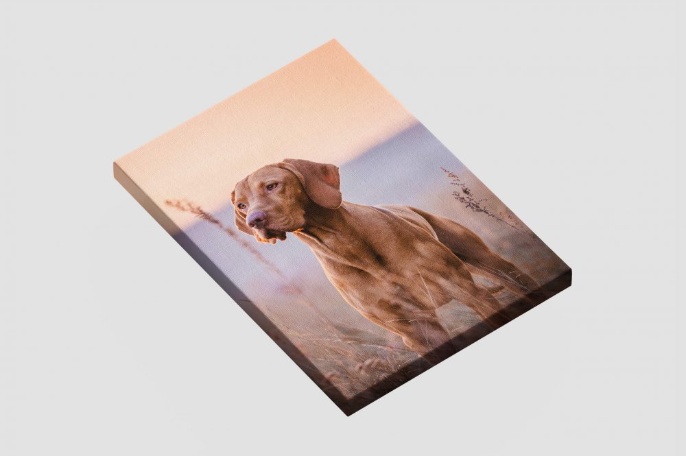 Canvas printing