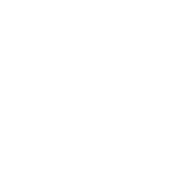 Ecommerce websites