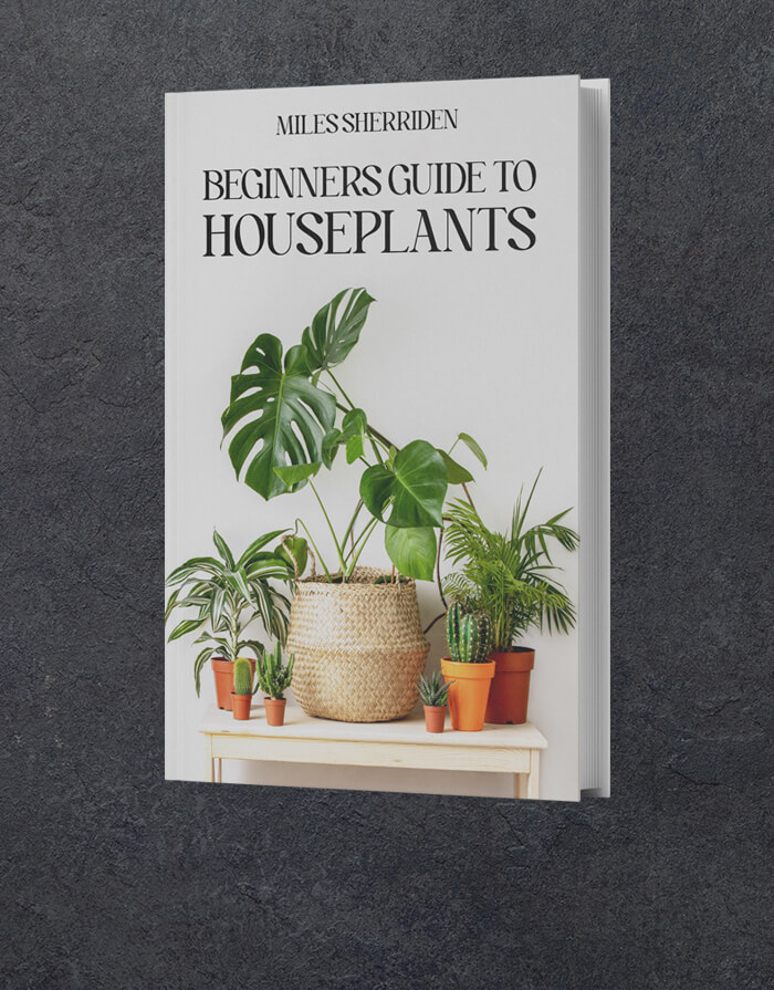  Hardback book printing