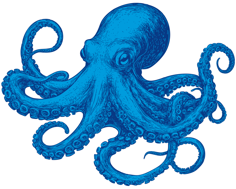 Like a good pair of binoculars